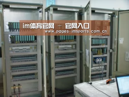 im体育官网案例展示五