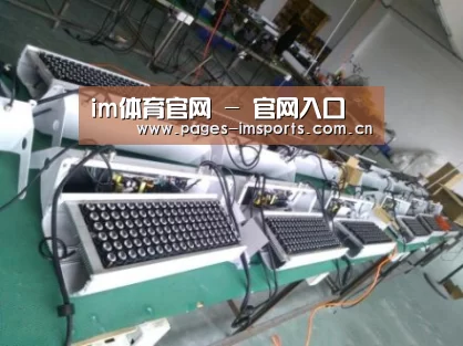 im体育官网案例展示一