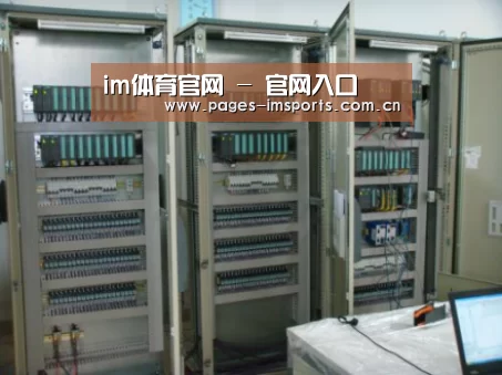 im体育官网案例展示五(图1)