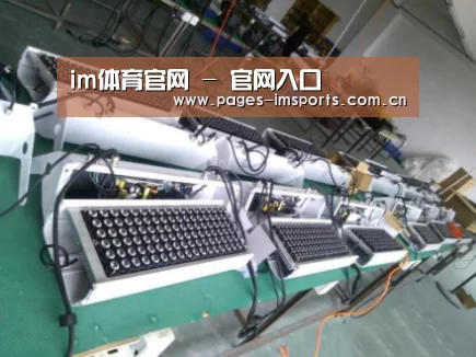 im体育官网案例展示一(图1)