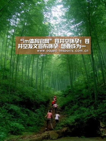 im体育官网