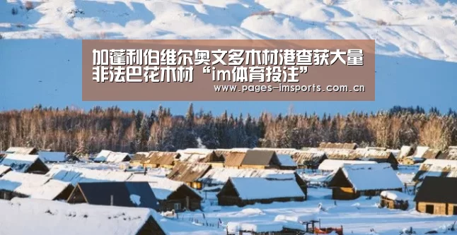 加蓬利伯维尔奥文多木材港查获大量非法巴花木材“im体育投注”(图2) im体育投注