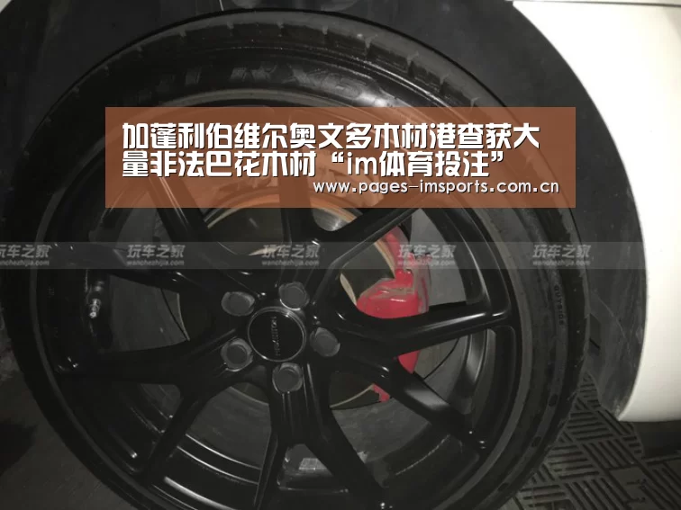 加蓬利伯维尔奥文多木材港查获大量非法巴花木材“im体育投注”(图4) im体育官方网站