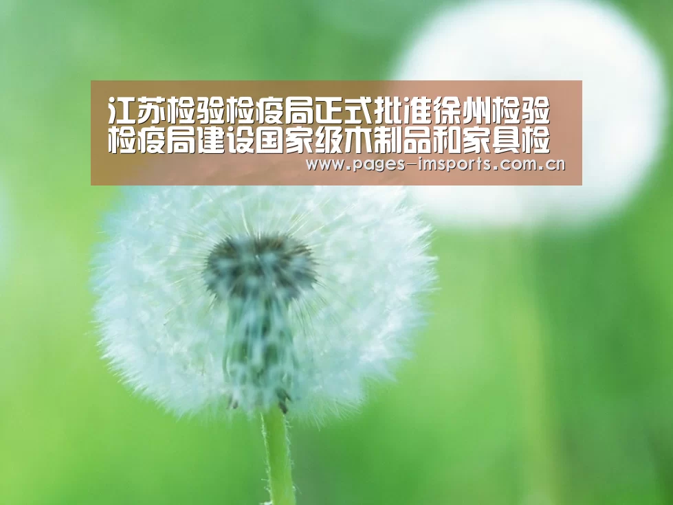 im体育投注
