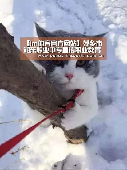 im体育