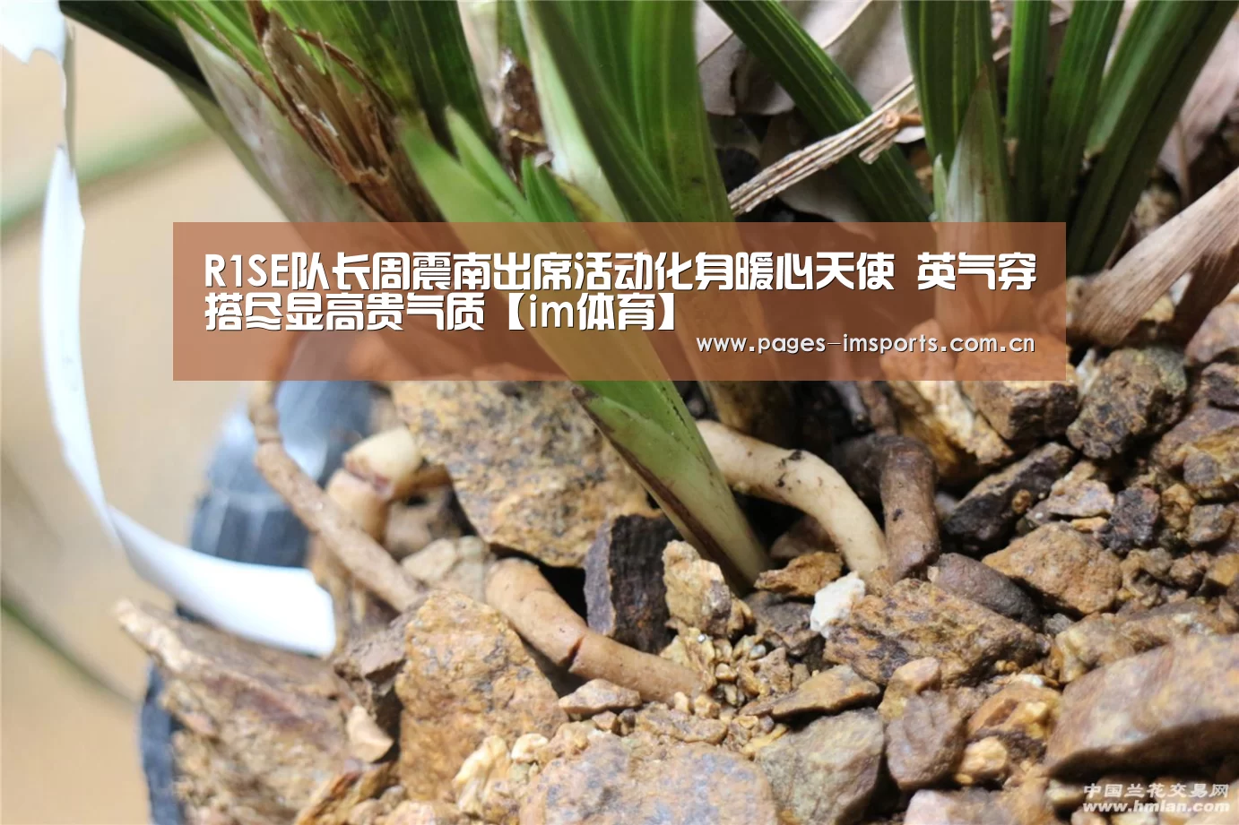 R1SE队长周震南出席活动化身暖心天使 英气穿搭尽显高贵气质【im体育】(图1) im体育投注